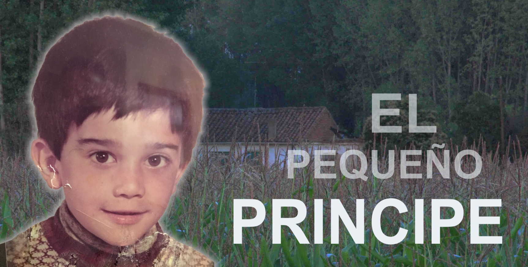 Principito-about